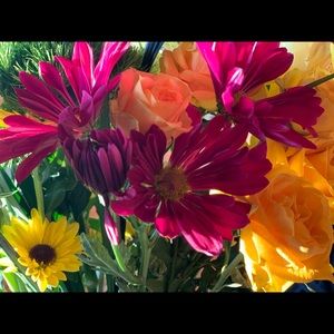 Meet your Posher, Andreja